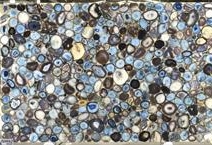 AGATE TROPICALIA